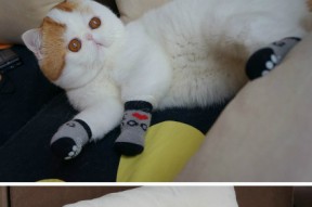 华体会-街道赛道上的篮球时间，维斯塔潘如何用雷霆单节击溃勒克莱尔