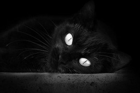 华体会-2026世界杯之夜，当萨拉赫成为绿茵教科书