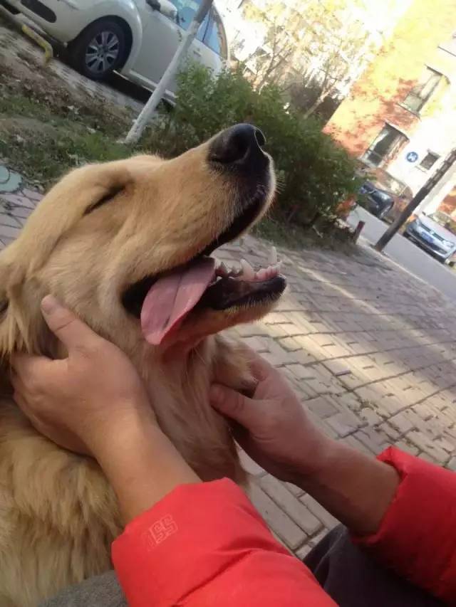 华体会官网-强者恒强！领先优势始终难挡最终获胜的简单介绍  第1张