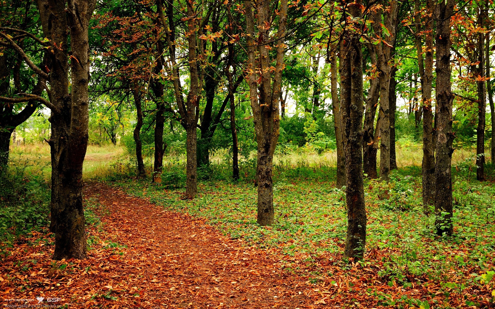 华体会hth-唯一的光，2026世界杯之夜的拉文绝杀  第1张