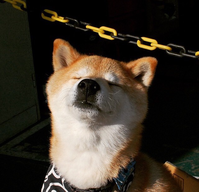 华体会体育-平行宇宙的篡改者,当利拉德在抢七为热火击碎篮网 第2张 华体会体育-平行宇宙的篡改者,当利拉德在抢七为热火击碎篮网 第2张