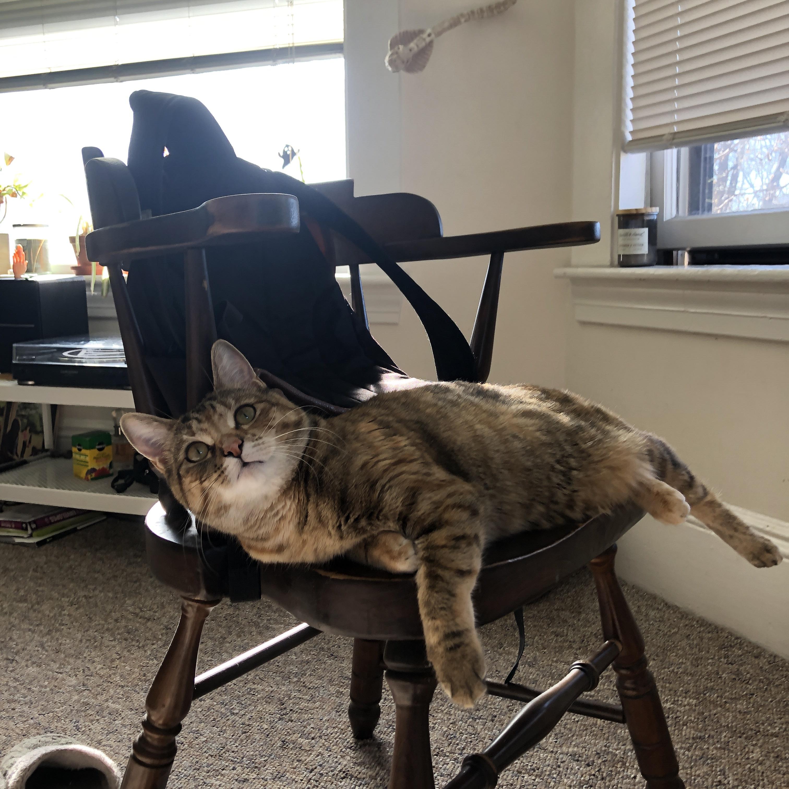 华体会体育-霍勒迪绝境封神!广东铁血防线终结深圳队12连胜传奇 第1张 华体会体育-霍勒迪绝境封神!广东铁血防线终结深圳队12连胜传奇 第1张