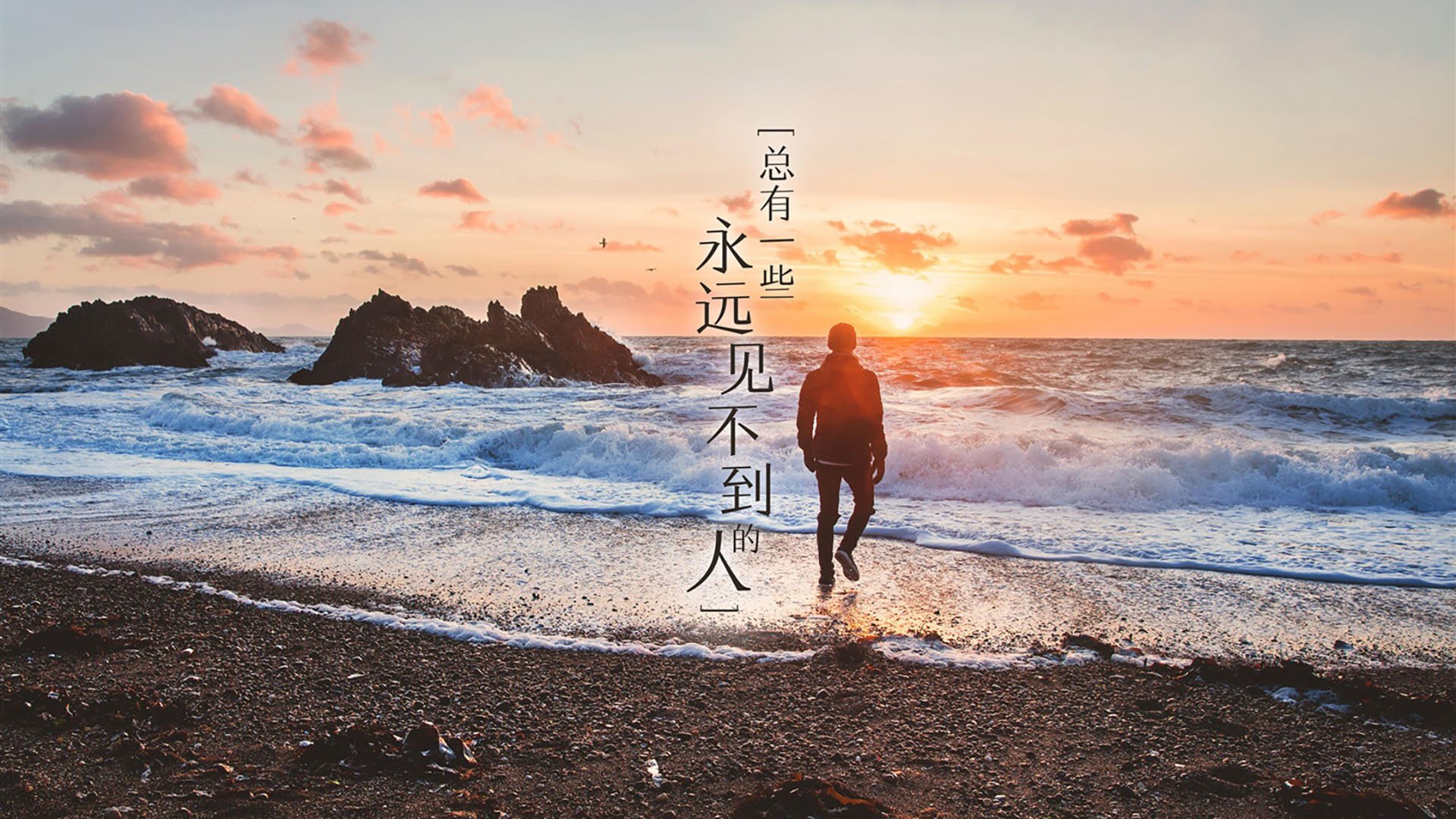 华体会hth-远方的光辉,当库里创造历史的夜晚,女篮在水泥地上书写自己的传奇 第2张 华体会hth-远方的光辉,当库里创造历史的夜晚,女篮在水泥地上书写自己的传奇 第2张