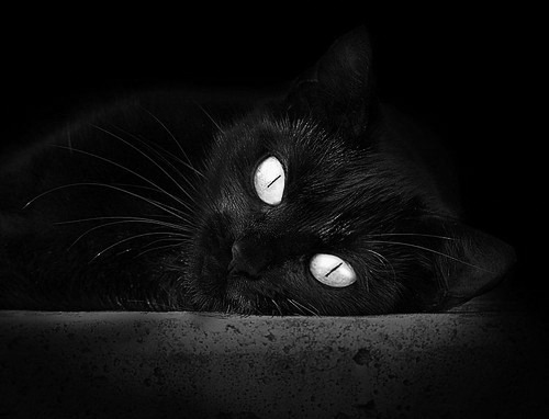 华体会-2026世界杯之夜，当萨拉赫成为绿茵教科书  第1张