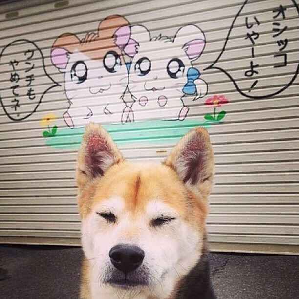 华体会登陆-击穿神话，雄鹿闪电战击溃辽宁，班凯罗于重压下逆风绽放  第2张