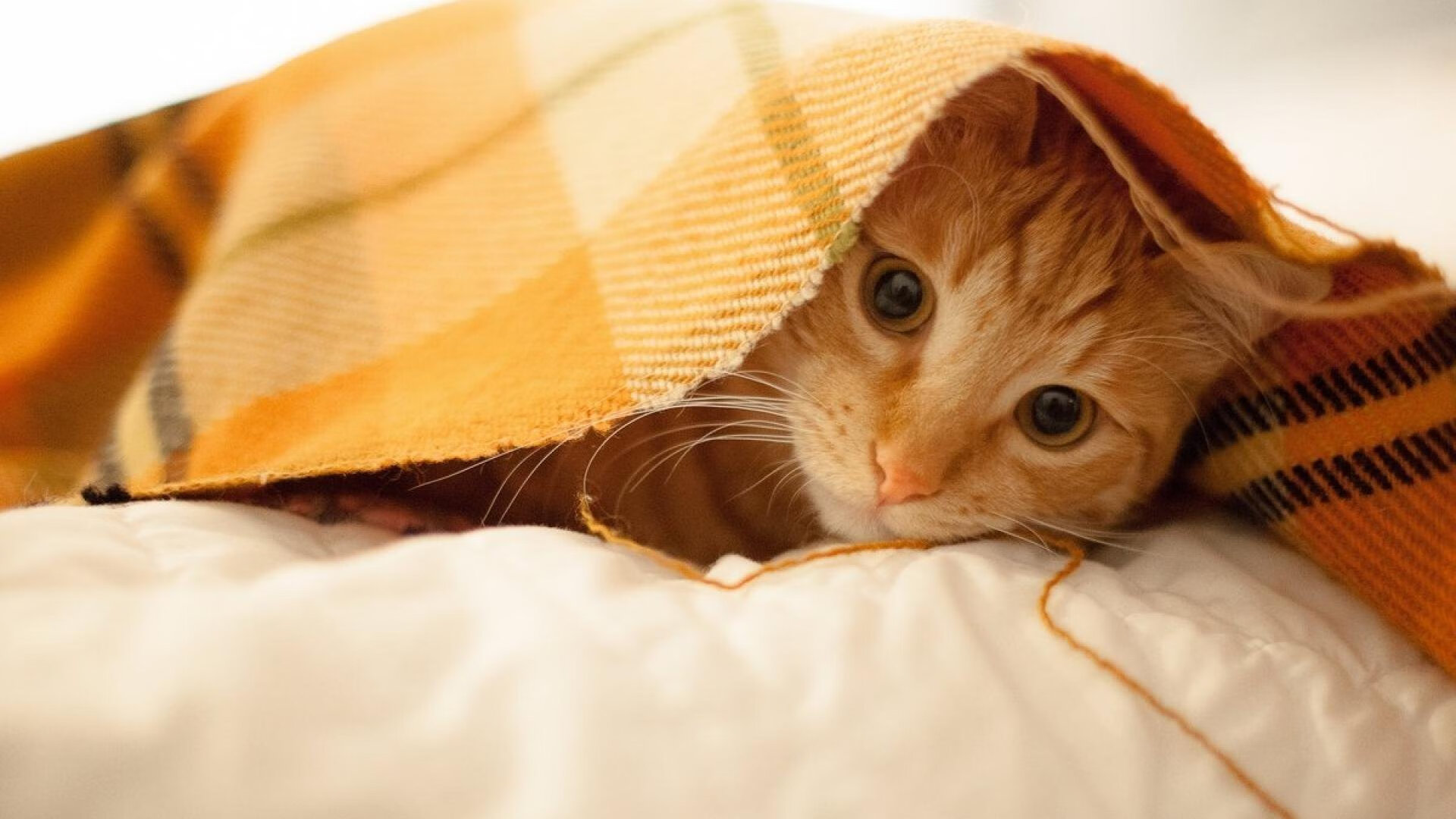 华体会体育-惊天逆转！中国队3-2力克土耳其，归化猛将卡塞米罗加时绝杀封神  第2张