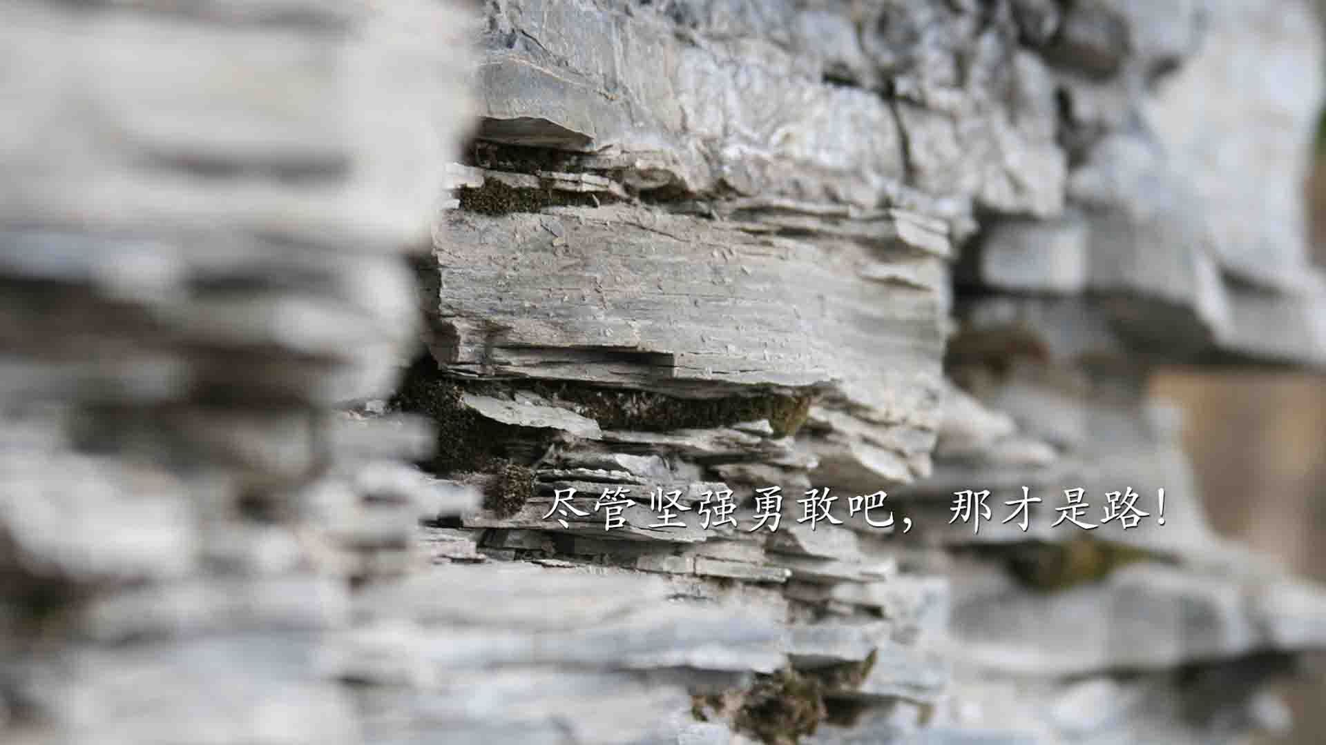 华体会网址-地理的玩笑，拜仁一场热身赛，如何提前终结了阿尔及利亚的美加墨世界杯悬念  第2张