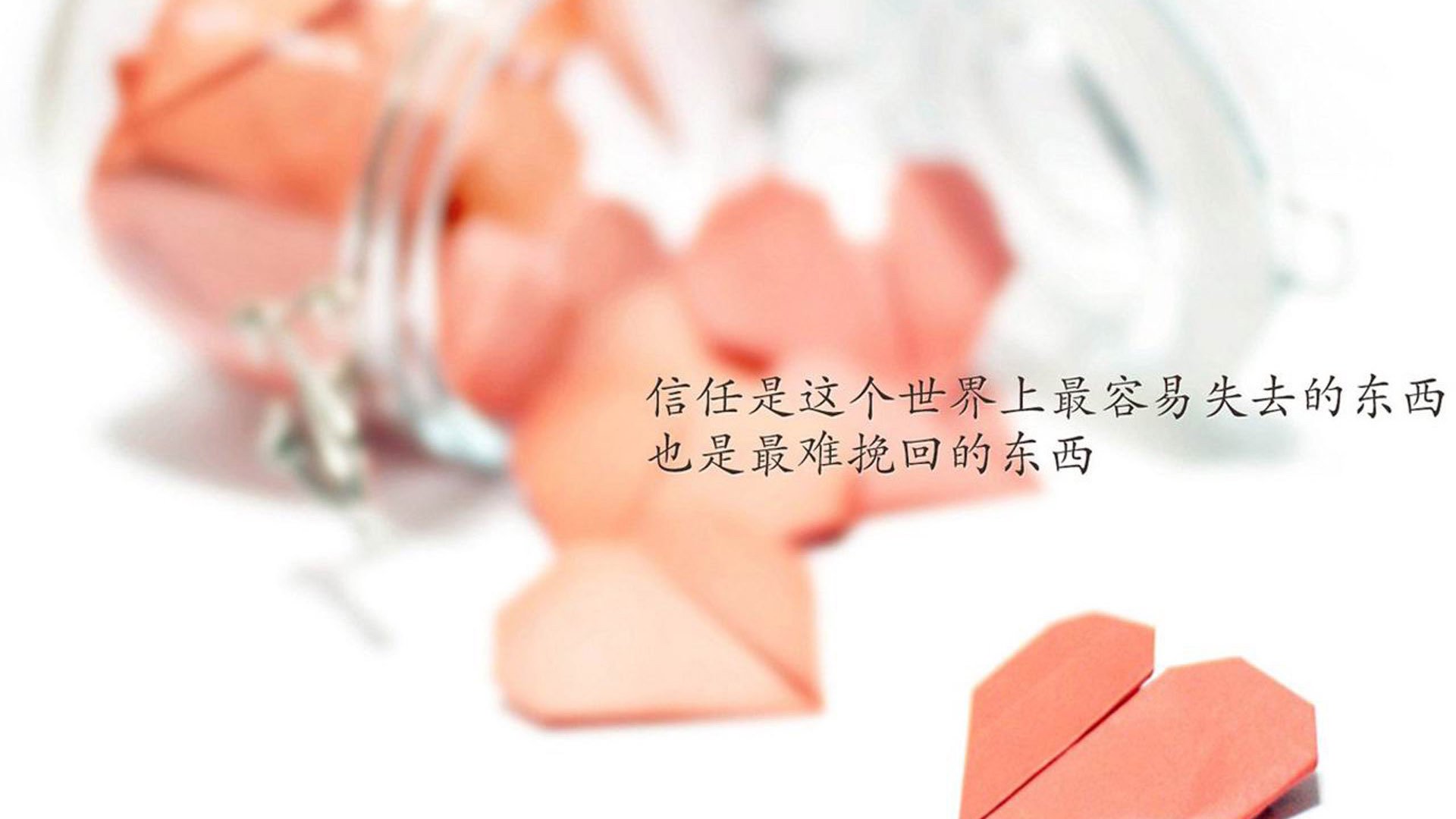 华体会下载-速度与博弈，赛道与球场的双线叙事  第1张